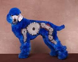 Image result for poodles transformed