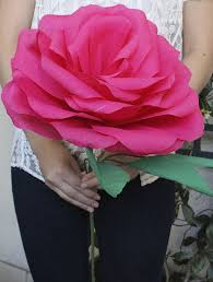 Fonder mols tissue paper chrysanth flowers paper leaves diy crafting for rustic wedding backdrop baby shower nursery decorations (set of 15, khaki ivory white) 4.2 out of 5 stars 131 $12.99 $ 12. Pin On My Big Day