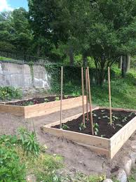 See more ideas about garden, kitchen garden, solar heating. 75 Beautiful Coastal Vegetable Garden Landscape Pictures Ideas May 2021 Houzz