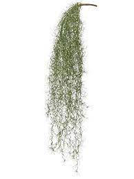 Spanish Moss Hanging Bush Artificial Greenery Afloral Com Spanish Moss Artificial Flowers And Plants Hanging Plants Diy