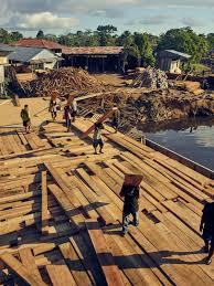 Check spelling or type a new query. Chasing The Illegal Loggers Looting The Amazon Forest Wired