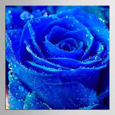 All orders are custom made and most ship worldwide within 24 hours. 1 Panel Hot Modern Decorative Beautiful Blue Rose Flowers Pictures Printed On Canvas Painting Living Room For Home Decor Flower Pictures Print On Canvaspicture Prints Aliexpress