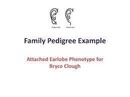 Ppt Family Pedigree Example Powerpoint Presentation Free