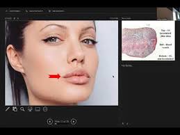 A&P 2, Digestive System Lecture 1/3. (In class recording)