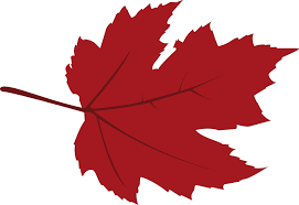 Canadian Maple Free Vector Graphic On Pixabay Check out our maple leaf png selection for the very best in unique or custom, handmade pieces from our digital shops. canadian maple free vector graphic on