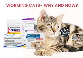 What is the best worm medicine for cats? Cat Worming How To Keep Your Kitty Free From Deworms
