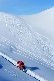 Maybe you would like to learn more about one of these? Endless Adventure With Powder Mountain Cat And Heli Skiing Picture Of Powder Mountain Cat And Heli Skiing Whistler Tripadvisor