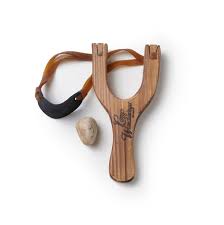 The Wandawega Sureshot Slingshot I Need This To Shoot Those Darn Skunks That Keep Getting Under The House Slingshot Camp Wandawega Kids Toys