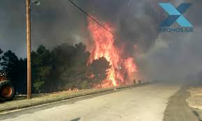 Φωτιά ξέσπασε σε χαμηλή βλάστηση πλησίον της οδού κιάφα στην αρτέμιδα αττικής. Fwtia Twra Sth Nikaia Attikhs Newsique Gr