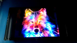 See more of a page for cool wolf pictures on facebook. Cool Song Is A Wolf A Rainbow Wolf Youtube
