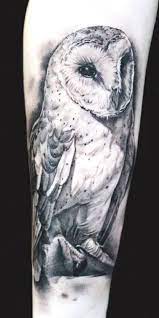 110 Best Owl Tattoos Ideas With Images White Owl Tattoo Barn Owl Tattoo Realistic Owl Tattoo