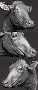 Cow Head Realistic 3d Zbrush Base Mesh Digital Sculpture Digital Sculpture Cow Head Animal Sculptures