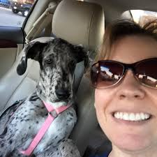 Comet's breed identification and growth at 4 months old