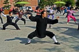 Wudang Tai Ji Quan Single Whip Tai Chi Tai Chi Chuan Tai