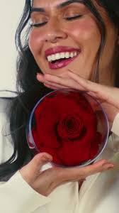 Mini Rosa Encantada Giuliana Flores