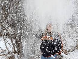 5061 love lane bozeman, mt 59718. Bozeman Pest Control Bozeman Montana Facebook