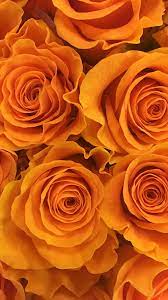 Flowers Phone Wallpaper Background In 2021 Cute Flower Wallpapers Orange Aesthetic Orange Wallpaper