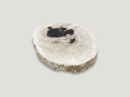 Cl114b here is a very nice natural brazilian agate slab. Petrified Wood Slab 4fr Andrianna Shamaris