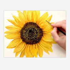 In This Tip Video Then I Wanted To Show You How I Went About Painting This Sunflower In M Sunflower Watercolor Painting Sunflower Painting Watercolor Sunflower