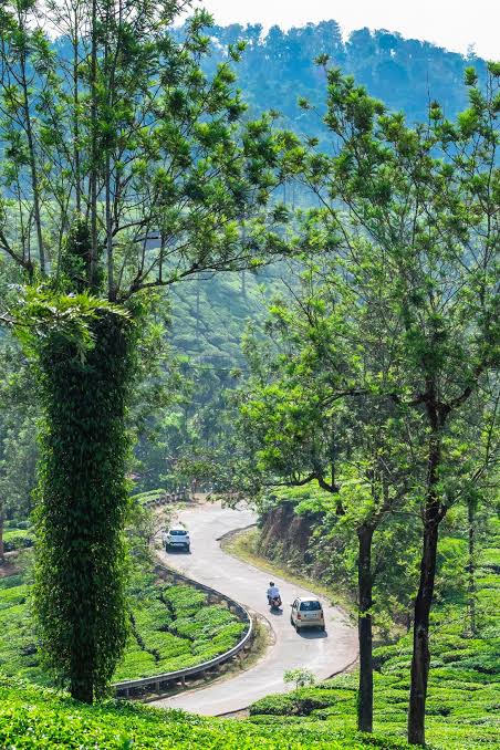 Wayanad mountains