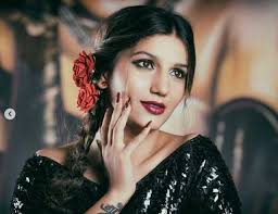 Sapna chaudhary to make bollywood debut with vikrant anand in dosti k side  effects