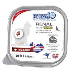 What's low phosphorus cat food? The Best Cat Food Low In Phosphorus Buying Low Phosporus Cat Food
