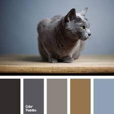 color palette 3718 color palette blue colour palette grey color palette