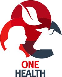 Over 20 years of experience has led to a deep understanding of the complex requirements of the insurance industry. One Health Dahw De