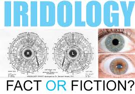 iridology fact or fiction mivision