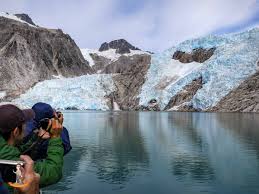 The closest major airport is anchorage, ak with a smaller airport at homer, ak. Whale Watching Im Kenai Fjords Nationalpark In Alaska