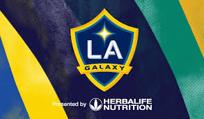 2020 La Galaxy Season Ticket Memberships Tickets In Carson