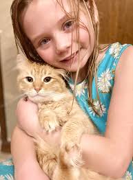 Lost Cat Raichu in Chanute Area