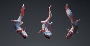 Artstation Mud Puppies Axolotl Of Fun Mickael Lelievre