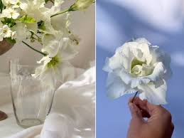 Image result for eustoma lisianthus in vase
