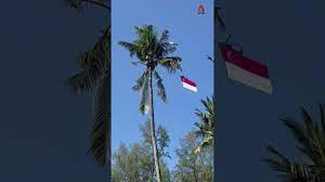 Happy 56th national day, singapore! Xca8iim Gbxrdm