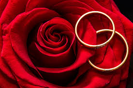 Micheal schumacher compie 50 anni. Quali Fiori Regalare Per Nozze D Oro Donne Magazine