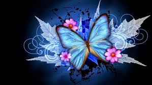 Check spelling or type a new query. Hd Abstract Wallpaper Beautiful Butterfly Images For Whatsapp Dp 1920x1080 Wallpaper Teahub Io