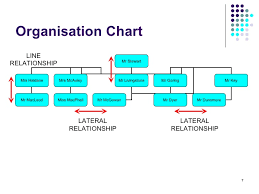 Unit 1a Organisation Of Departments