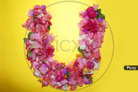 Die letzten diskussionen über alphabet inc. Image Of Letter W Flower Alphabet Creative Text Greeting Is481483 Picxy