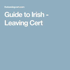 Guide To Irish Leaving Cert Cert My Music Teacher Music Essay
