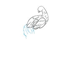 How to draw a peacock peacock easy draw tutorial. How To Draw A Peacock In A Few Easy Steps Easy Drawing Guides