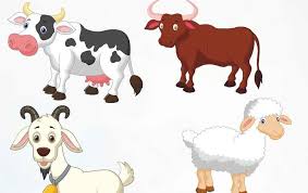 Penyebab sapi kurus dan cara menanganinya peternak sapi untuk tujuan penggemukan tentunya menginginkan sapi yang. Terkeren 30 Gambar Kartun Peternakan Ayam Sapi Sapi Kambing Kartun Lucu Hewan Dinding Seni Decals Download Ayam Menggamba Gambar Kartun Kartun Ikon Kartun