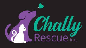 Check spelling or type a new query. Chally Animal Rescue Waldo S Friends