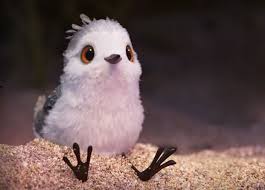 Large genus of chiefly climbing tropical shrubs. Piper Pixar Wild Animals Pictures Piper Pixar Cute Birds