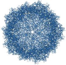 Image result for Blue 1996 AAV