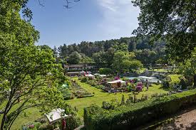 They are classified by the french ministry of culture as one of the notable gardens of france. Journees Des Plantes D Albertas A Bouc Bel Air Agenda Provence Routard Com