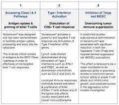 specific immune response flow chart cells of the red bone