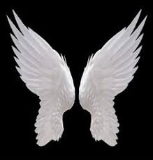 Black and white angel wings. Free Stock Photo Of White Angel Wings In 2021 White Angel Wings Angel Wings Png Wings Wallpaper