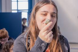 Semana dos Museus movimenta UEPG com diversidade de conhecimentos