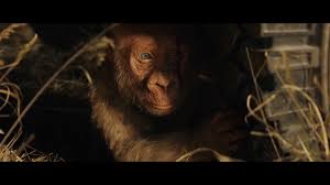 Det blir inte större än så här. Rampage Big Meets Bigger 2018 Film Trailer Kritik